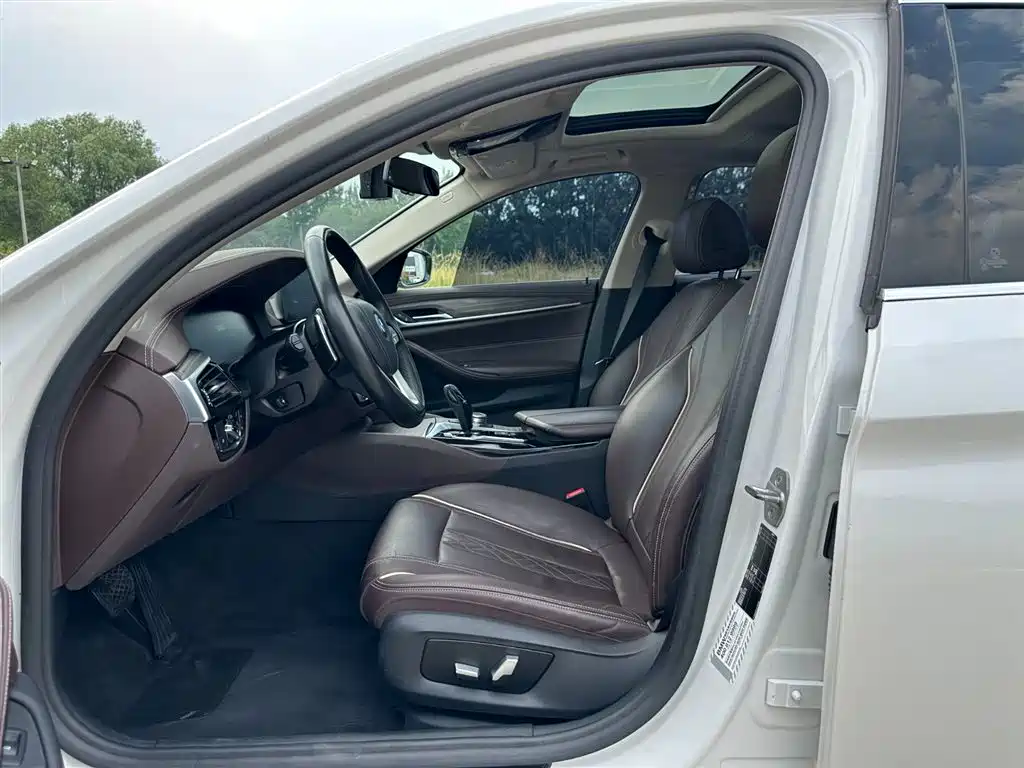 BMW 5 Series 5 2020 530Li Lead Luxury
