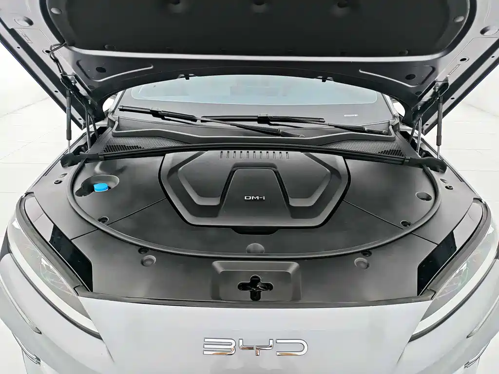 BYD Song Plus PLUS 2023 Champion DM-i 110KM Flagship PLUS