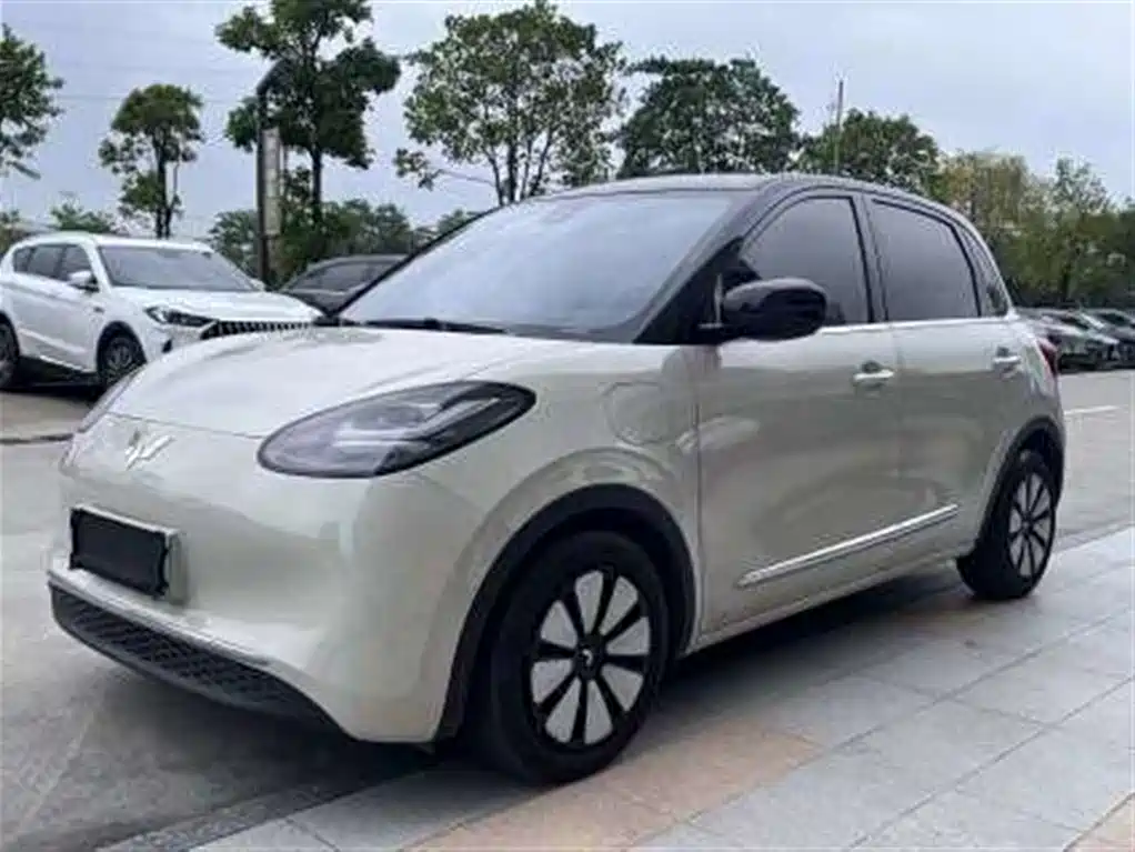 Wuling Bingo 2023