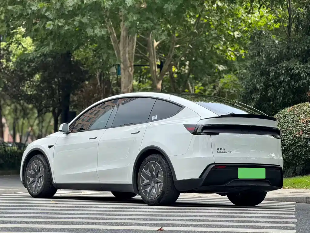 Tesla Model Y L — миниатюра 9
