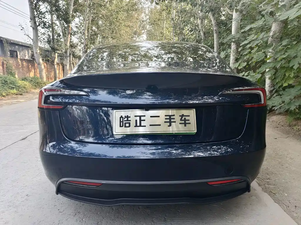 Tesla Model 3 — миниатюра 5