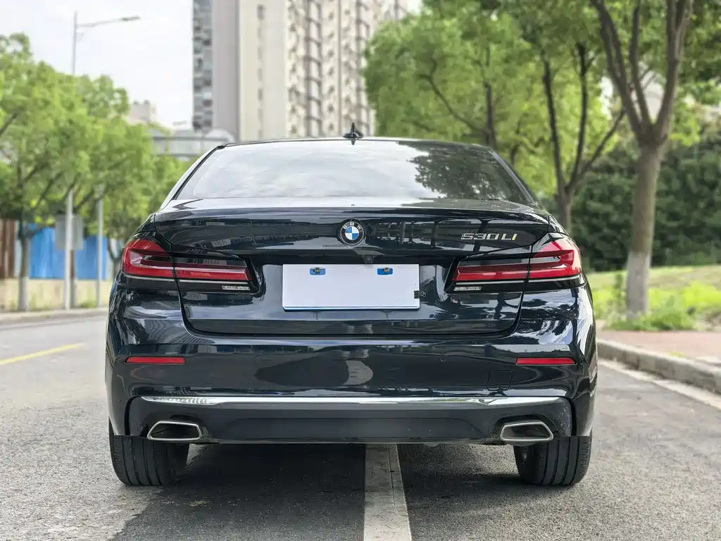 BMW 5 Series 5 2021 530Li Lead Luxury