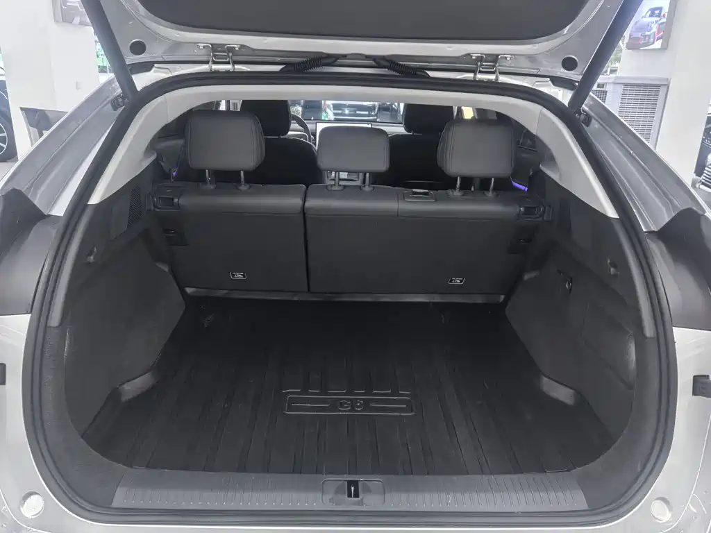 Xpeng G6 2025 625 Max
