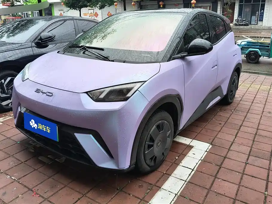 Byd Seagull 2024