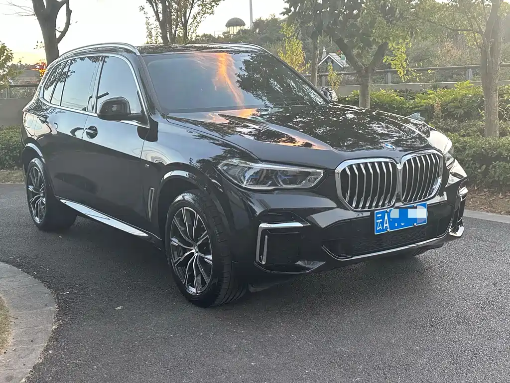 BMW X5 — миниатюра 3