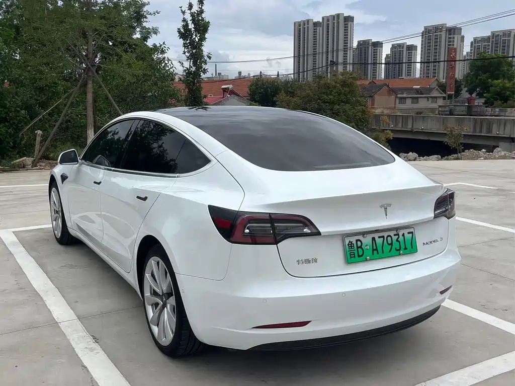 Tesla Model 3 — миниатюра 4