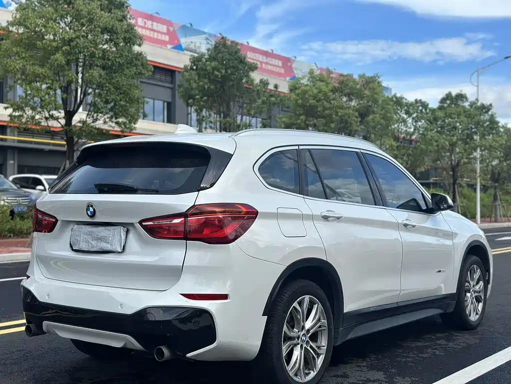BMW X1 2018 sDrive20Li Lead
