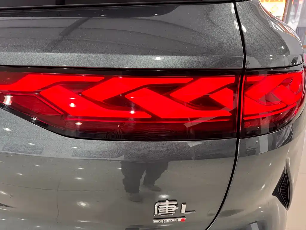 BYD Tang L - фото 14