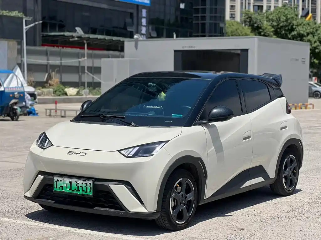 Byd Seagull 2024