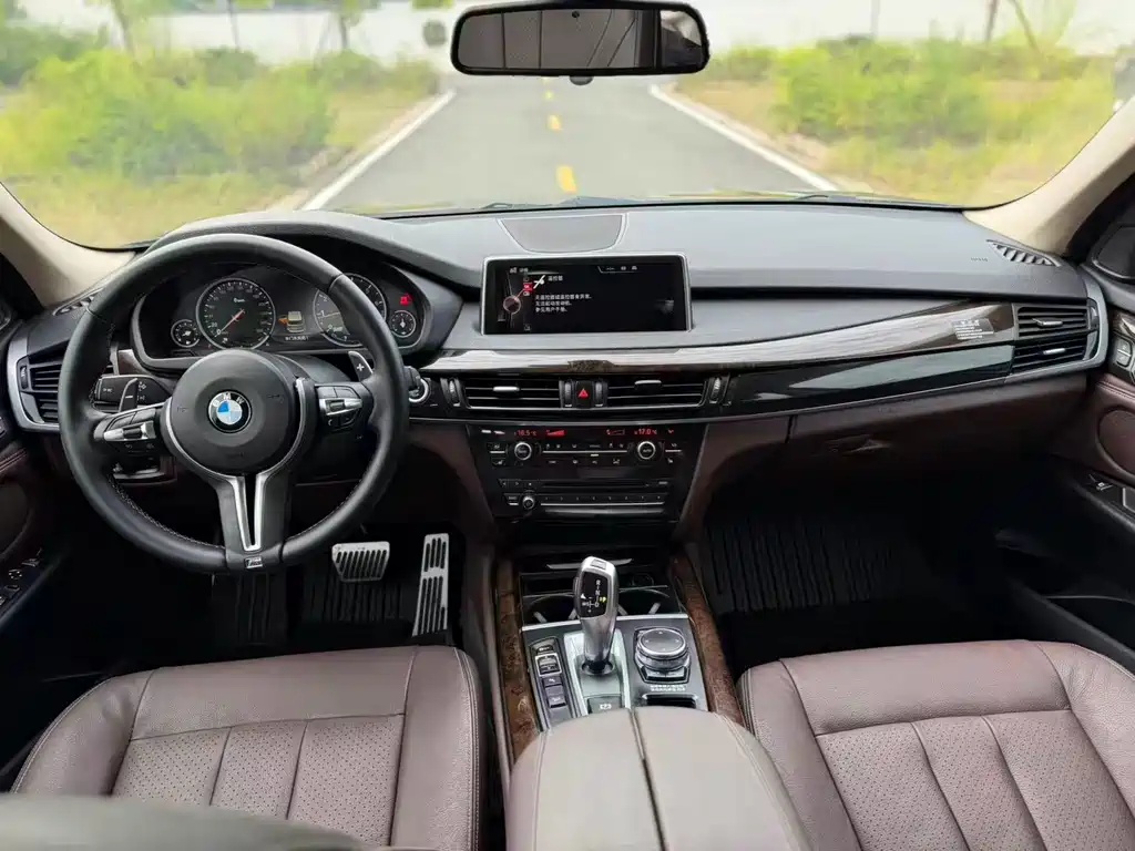 BMW X5 (Import) — миниатюра 9