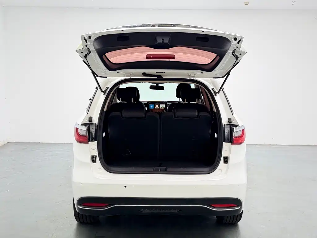 BYD MAX New Energy — миниатюра 8