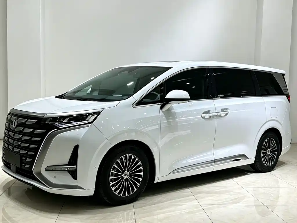 Denza D9