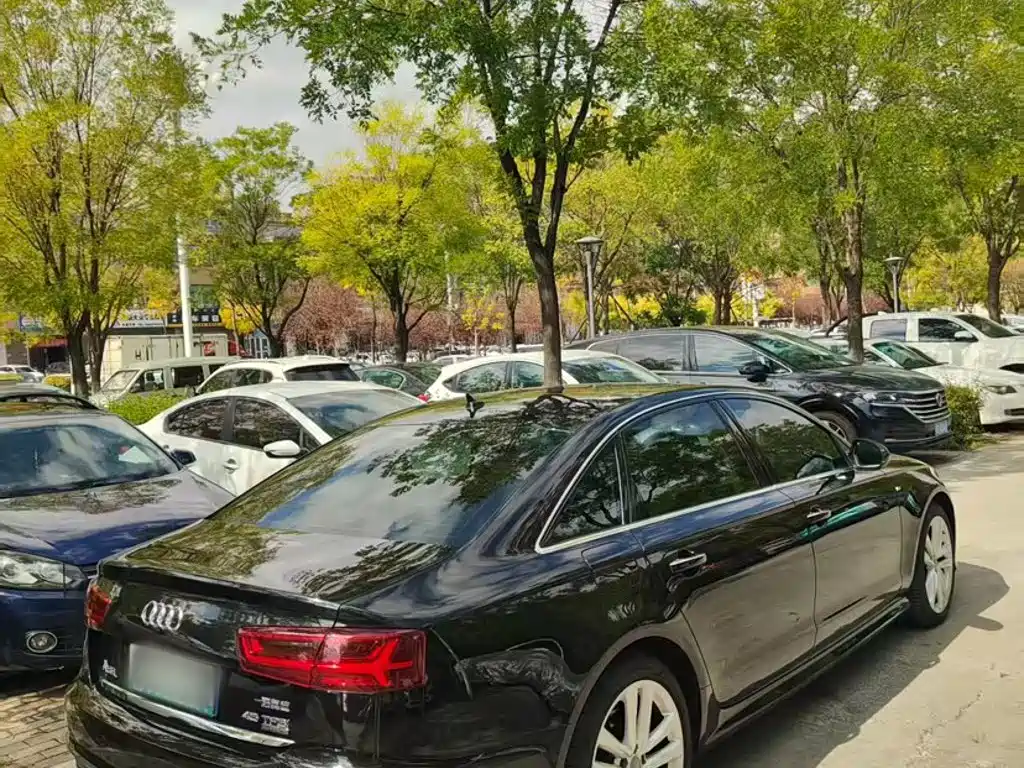 Audi A6L — миниатюра 11