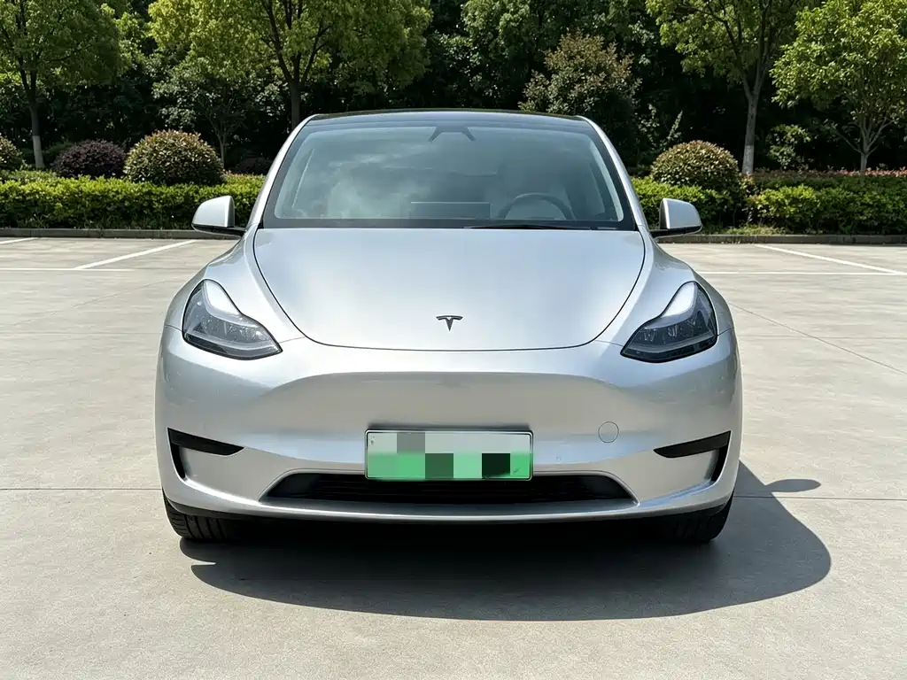 Tesla Model Y — миниатюра 2
