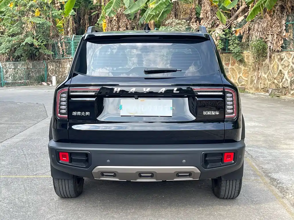 HAVAL BIG DOG