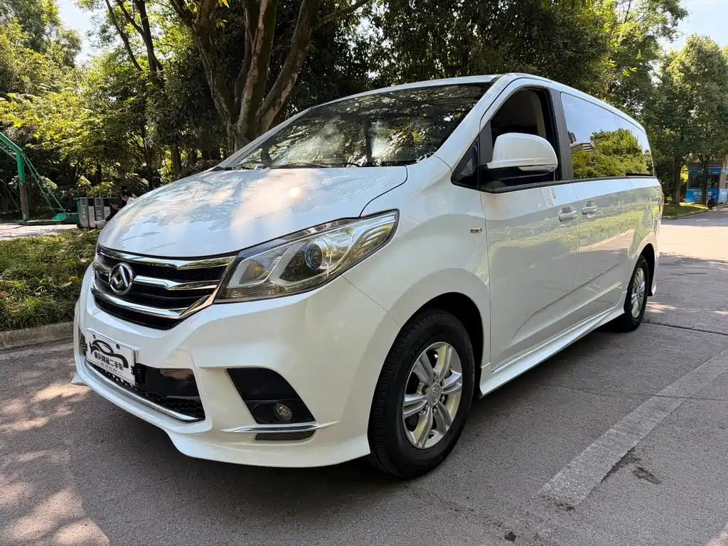 大通 G10 2019