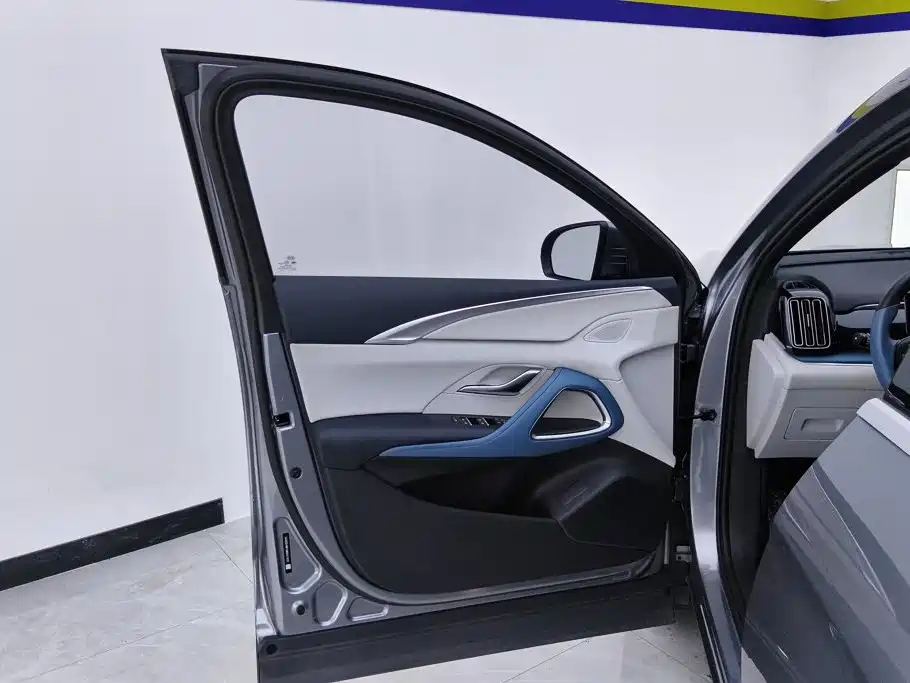 BYD Pro — миниатюра 7