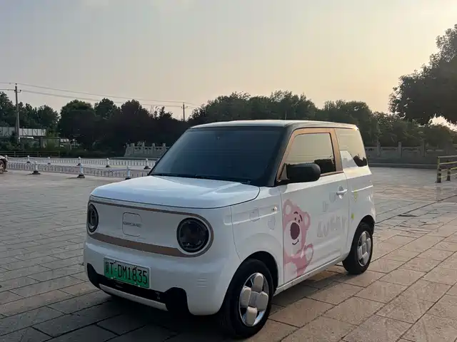 2023 Geely LC (Panda)