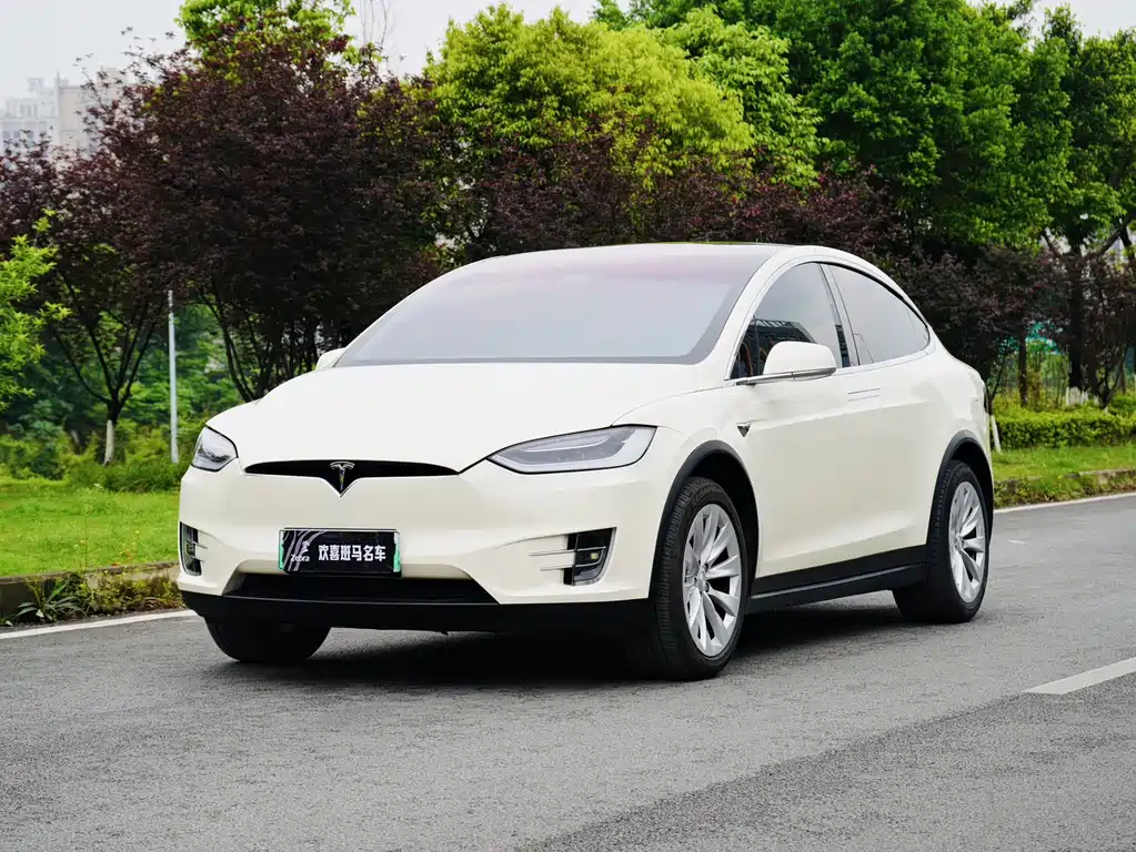Tesla Model X 2019
