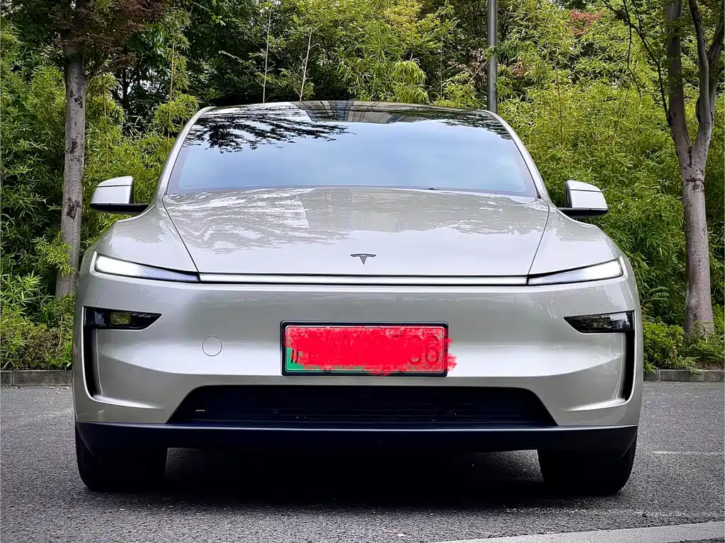 Tesla Model Y L — фотографии объявления, Фото 3