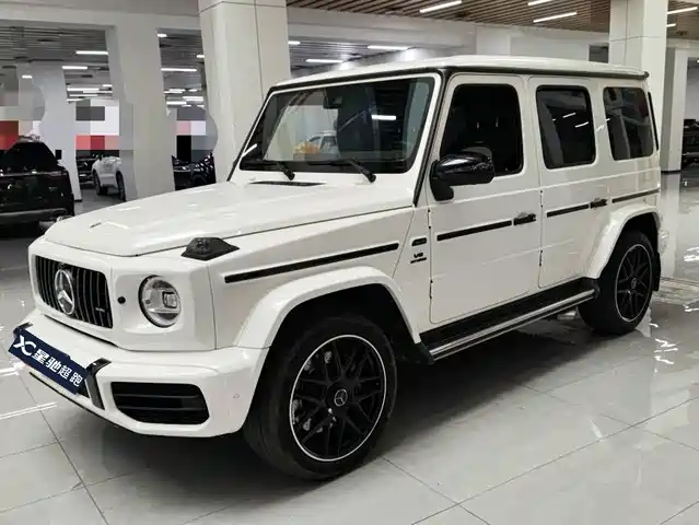 MERCEDES-BENZ G CLASS