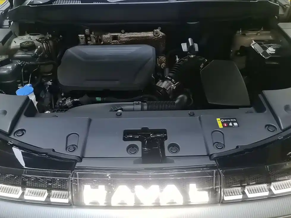 Haval Xiaolong MAX — миниатюра 20