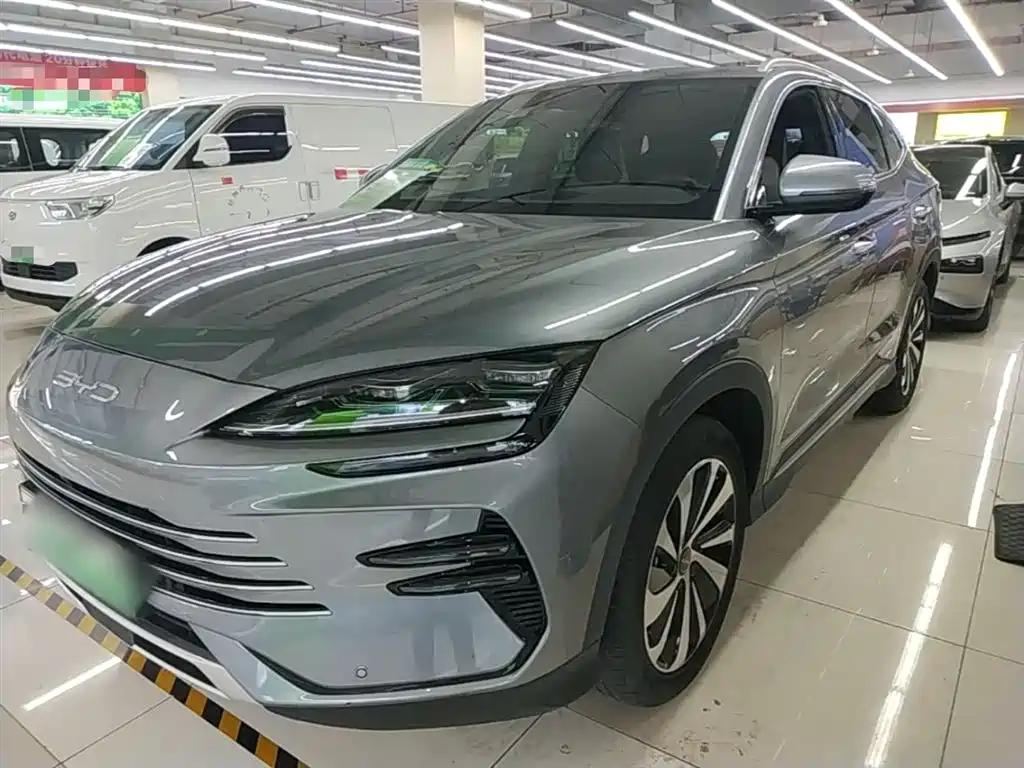 Byd PLUS New Energy 2024