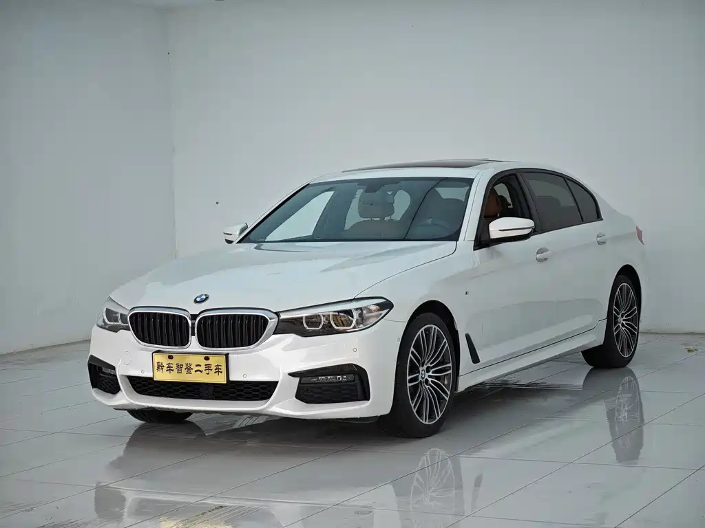 BMW 5 Series 2019