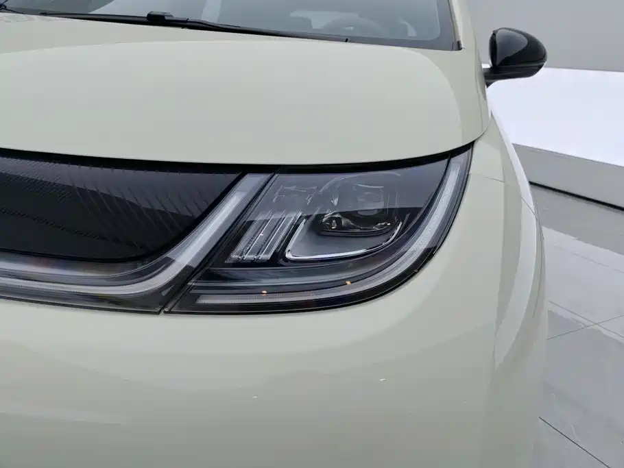 BYD Dolphin — миниатюра 5