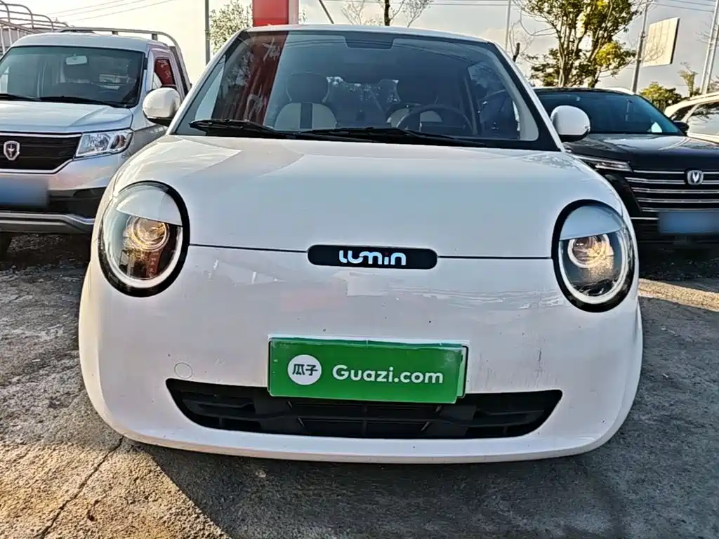 Qiyuan Lumin — миниатюра 3