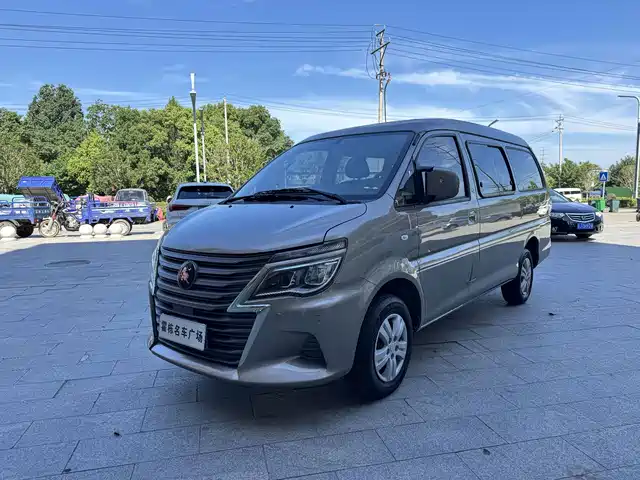 2024 DongFeng Forthing Lingzhi