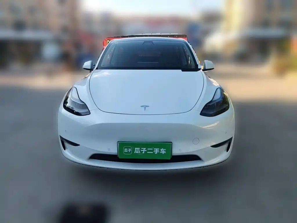 Tesla Model Y — миниатюра 2