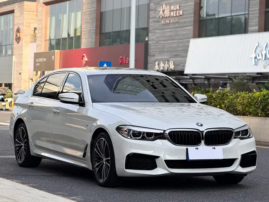 BMW 5 Series 5 2019 530Li Lead M Sport
