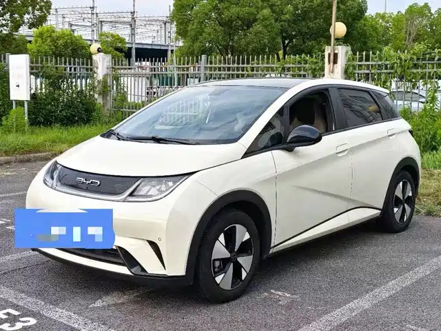 2023 BYD Dolphin