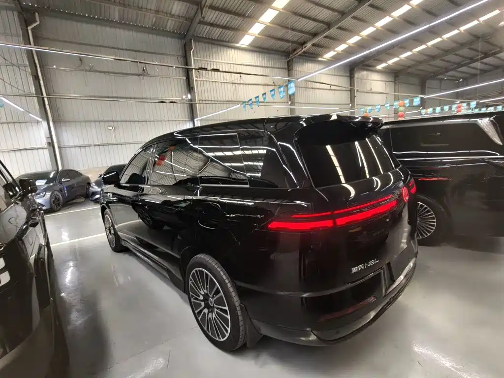 Denza Denza N8L — миниатюра 7