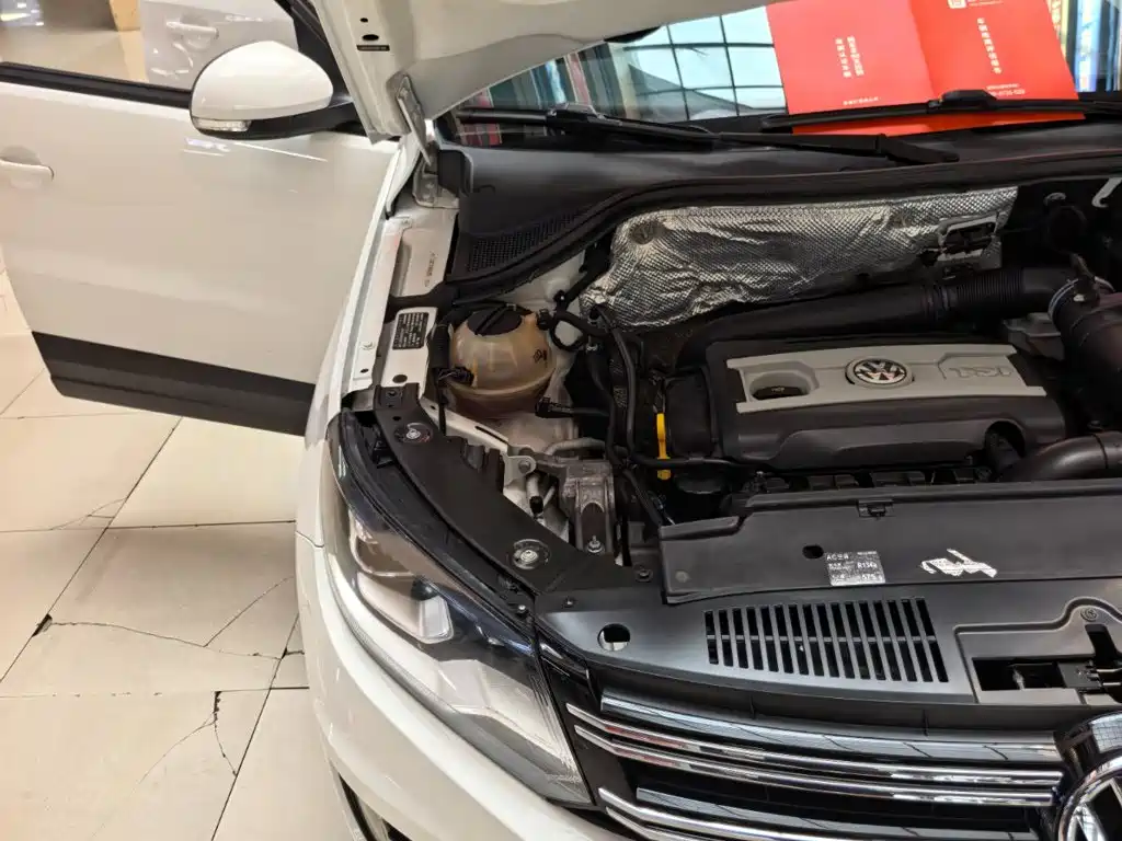 Volkswagen Tiguan 300TSI Auto 2WD Silk Road Elegant Edition, фото 19