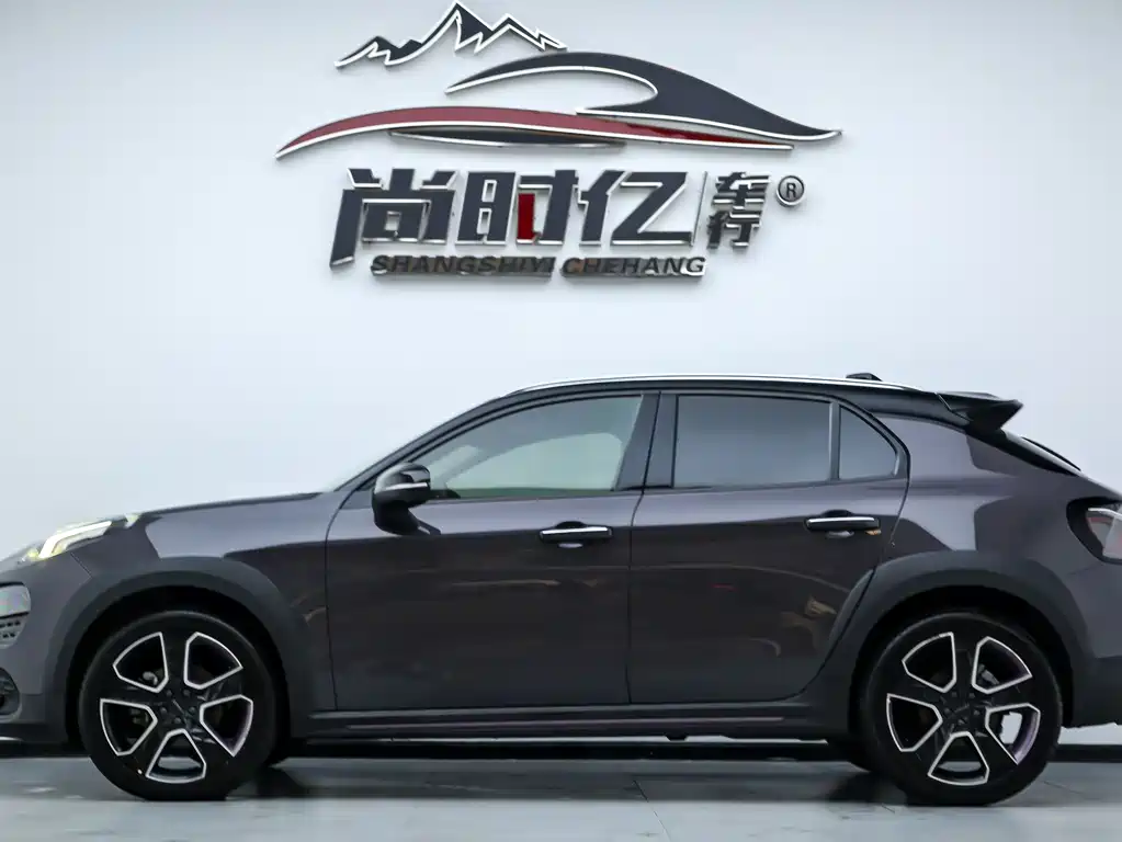 Lynk & Co 02 2019 2.0T AT Pro VI