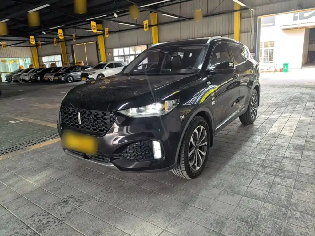 Wey Wey VV6 — миниатюра 2