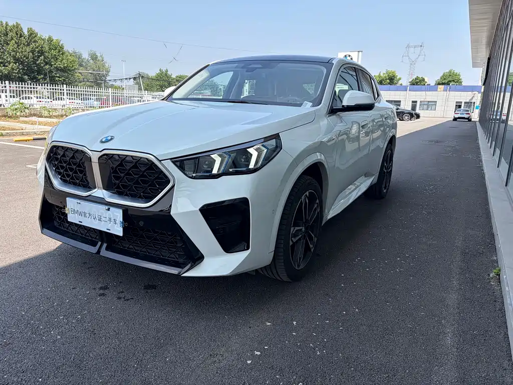 BMW X2 (Import) — миниатюра 2