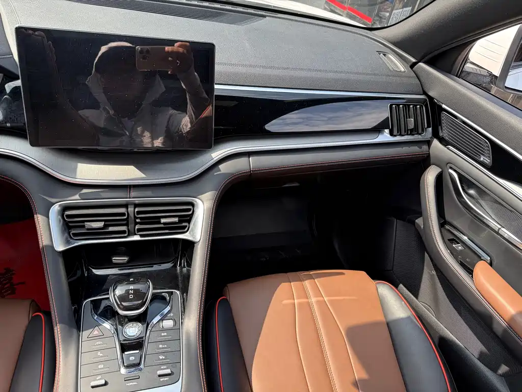 BYD PLUS — миниатюра 10