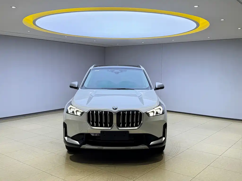 BMW X1 — миниатюра 2