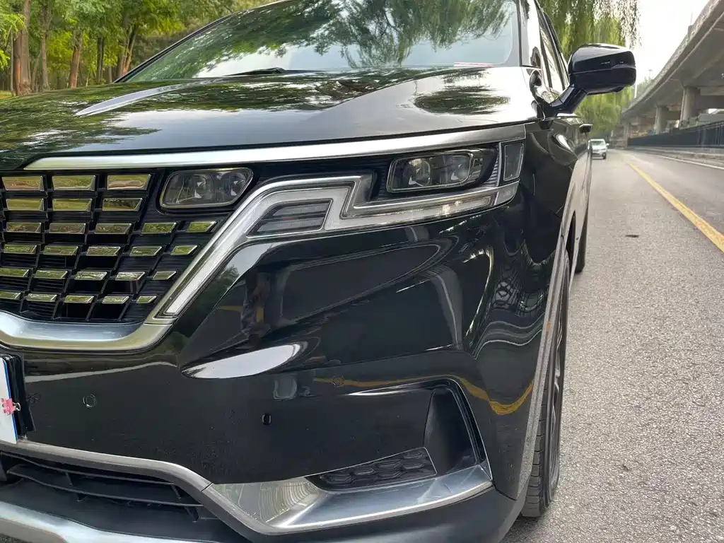 Kia Carnival — миниатюра 15