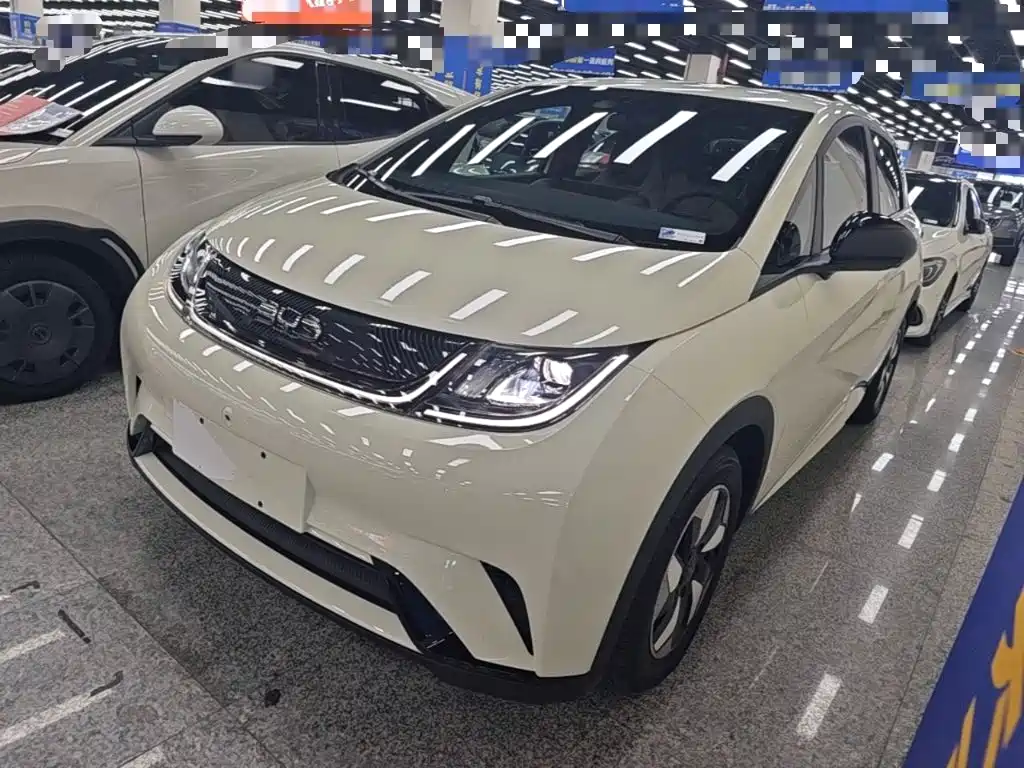 2024 BYD Dolphin - zdjęcie 1 z 25