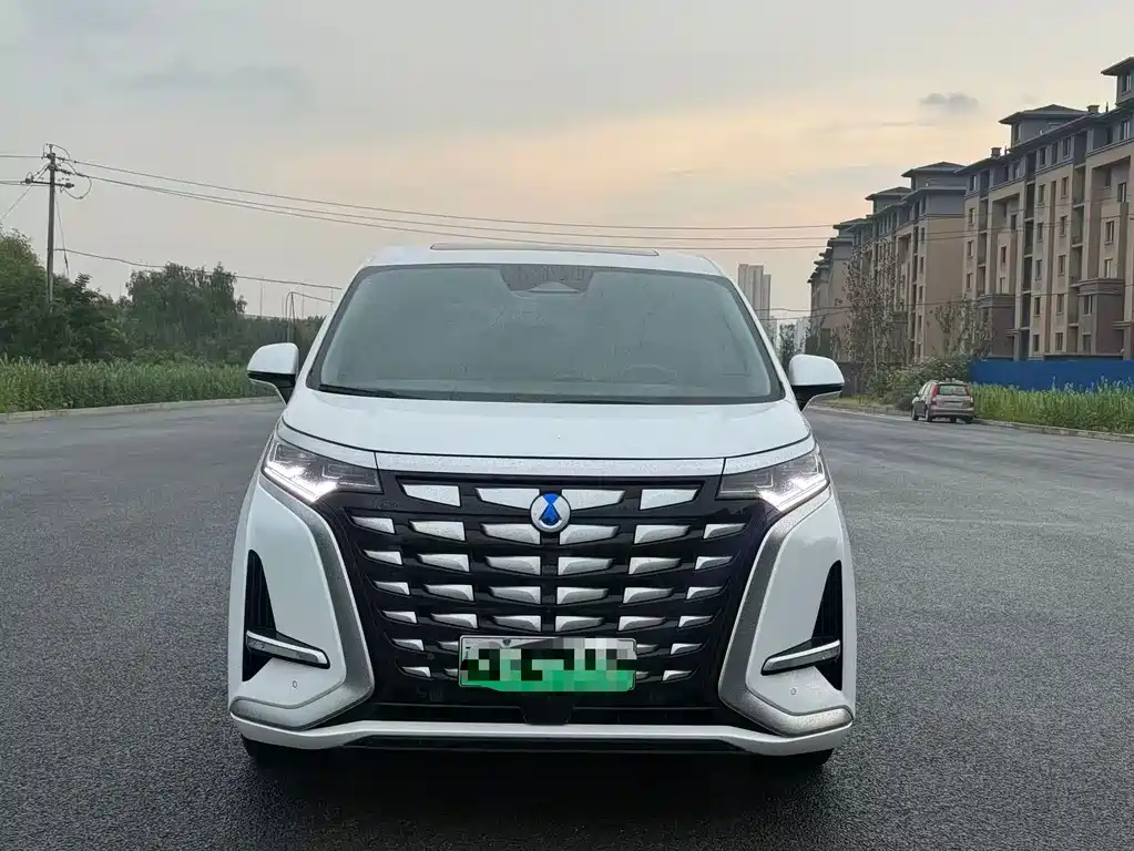 Denza Denza D9 — миниатюра 2