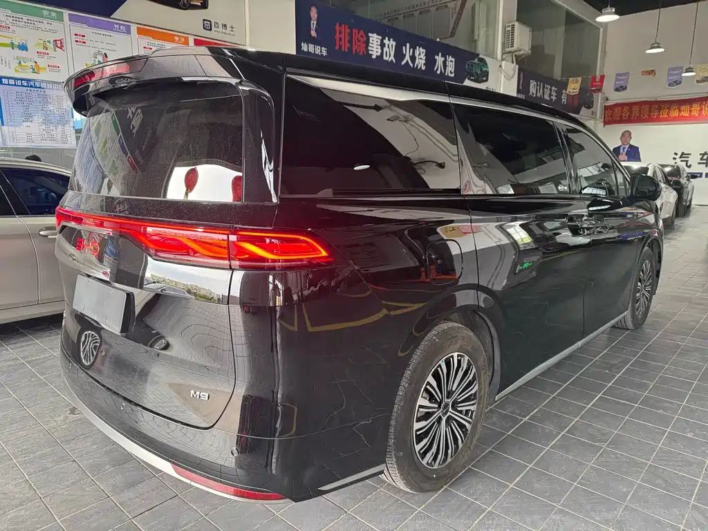 BYD M9 — миниатюра 11