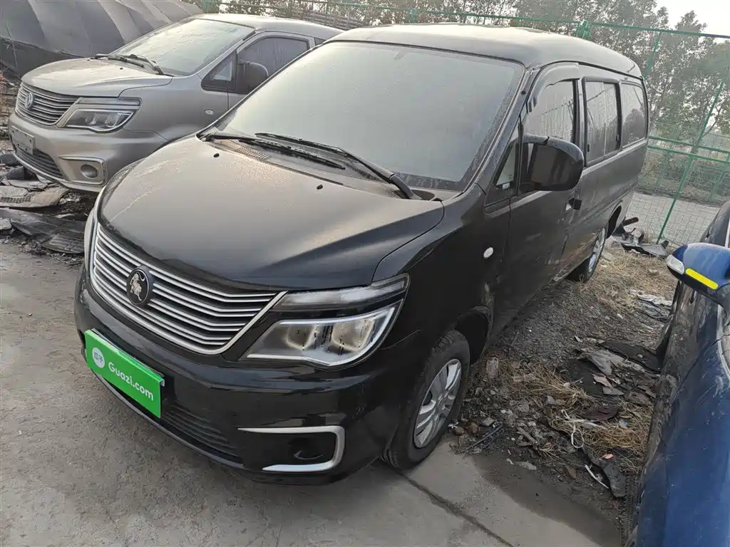Fengxing Lingzhi 2022