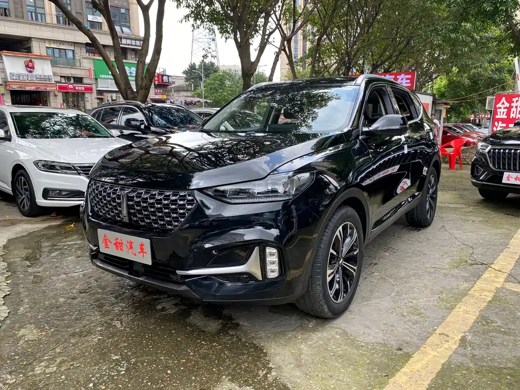Wey Wey VV6 2021