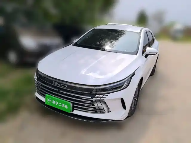 2024 BYD Destroyer