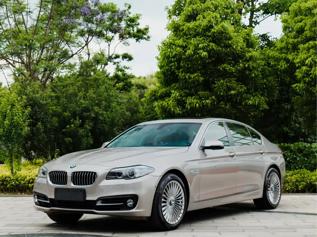 BMW 5 Series 2014