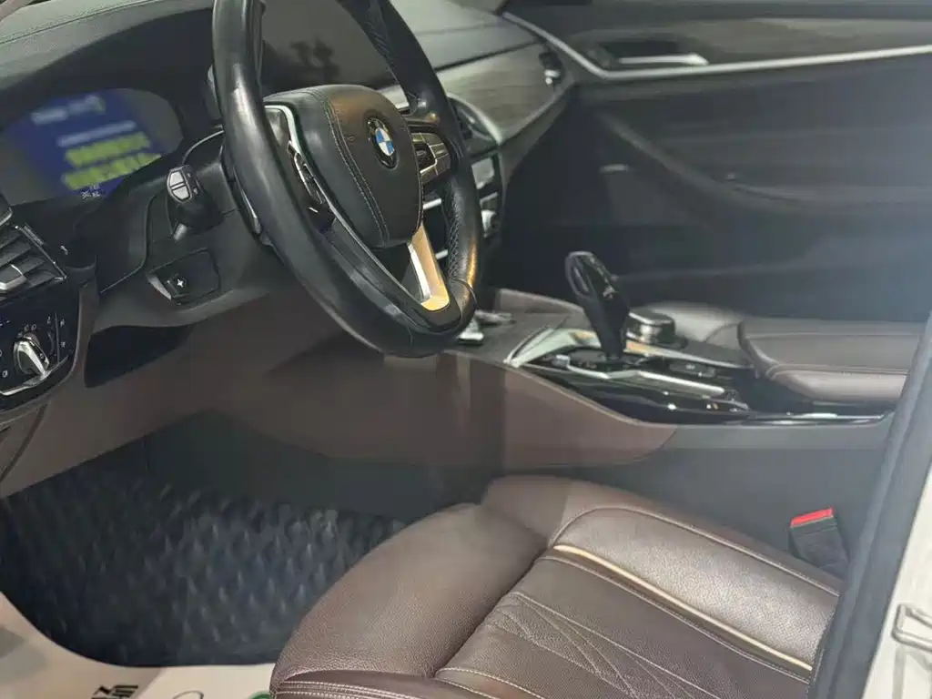 BMW 5 Series 5 2019 530Li Premium Luxury